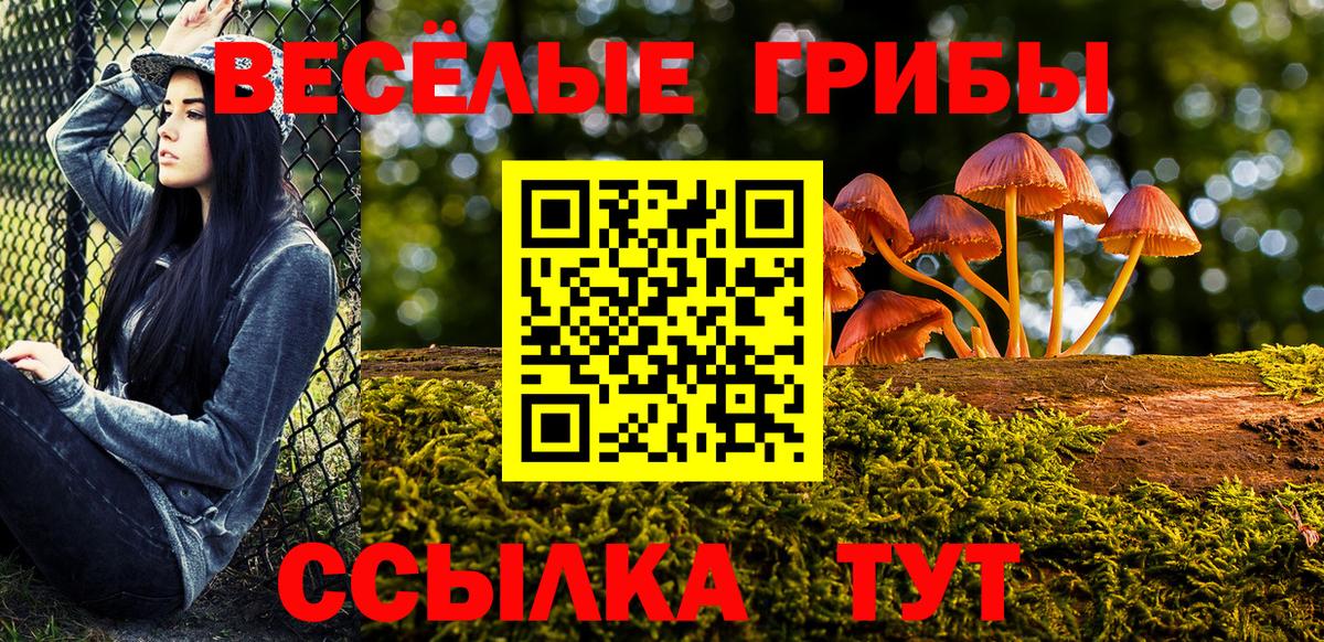 Малгобек  Галлюциногенные грибы мицелий  Вход с VPN 