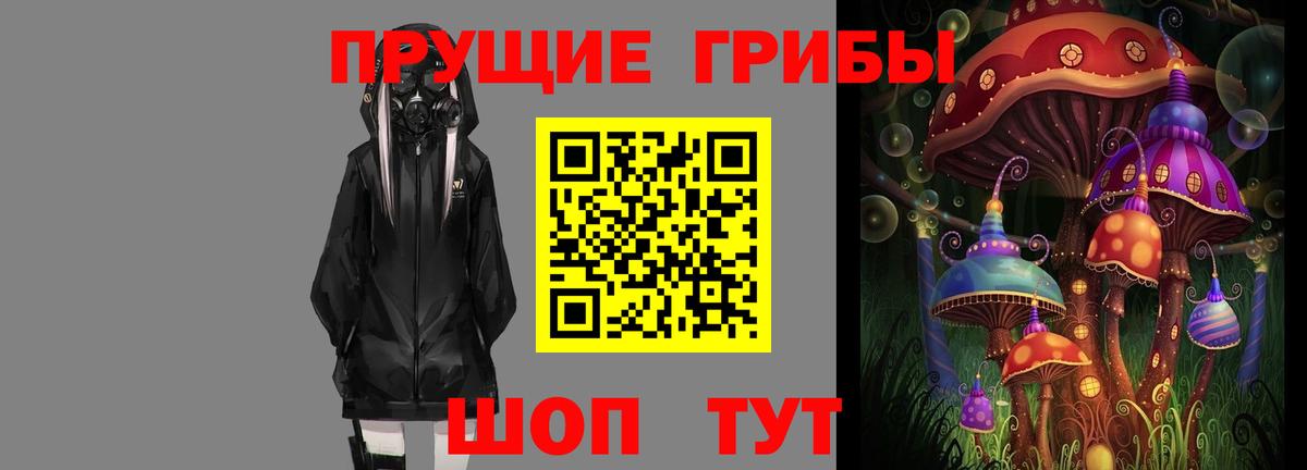 Псилоцибиновые грибы Psilocybe Малгобек